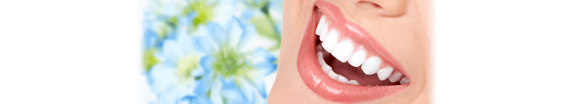 Elizdiş - Implant ve Estetik Diş Hekimliği / İstanbul